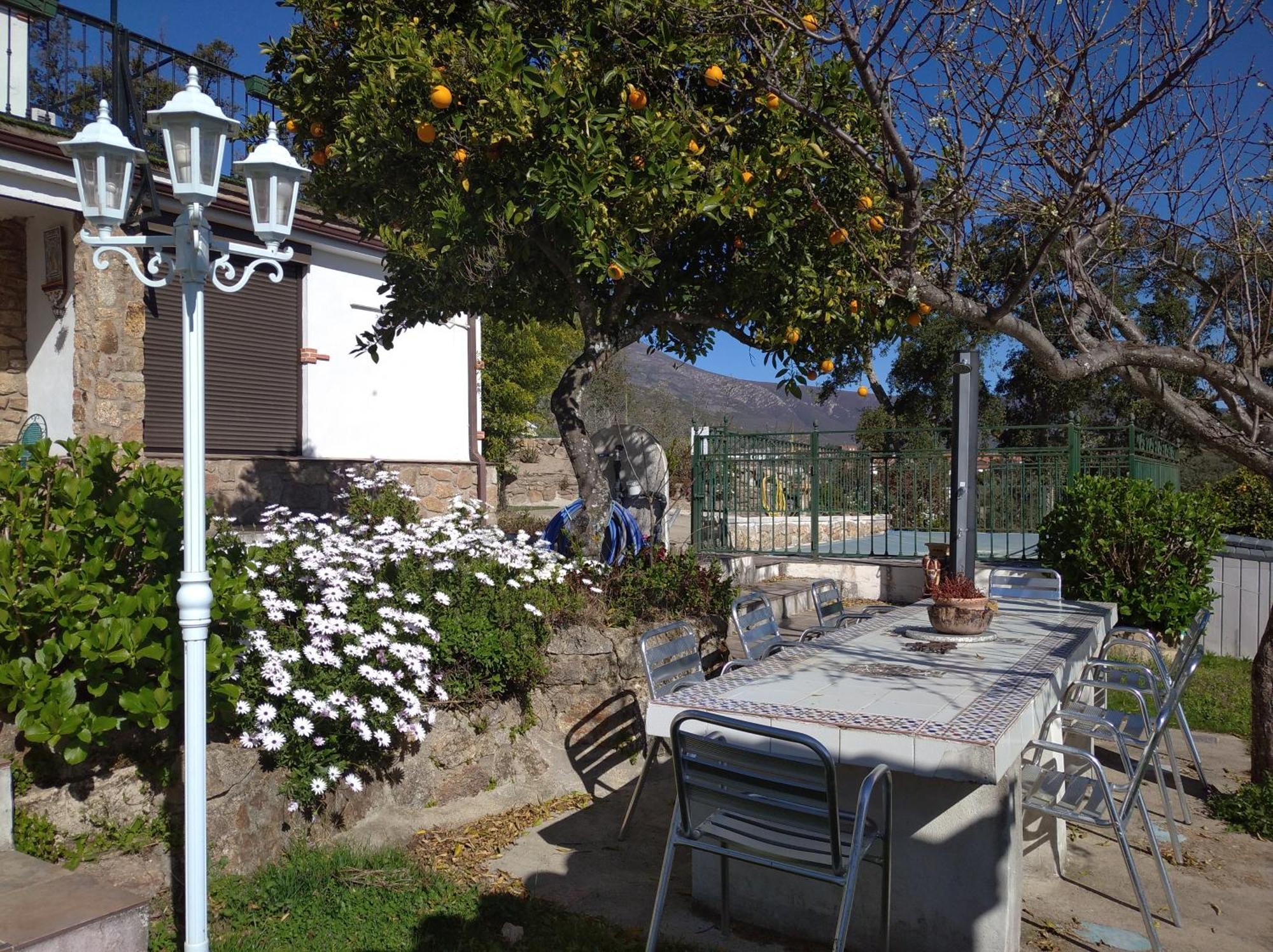 Casa Rural El Mirador De Acebo, 4 Estrellas, Piscina, Spa Dış mekan fotoğraf